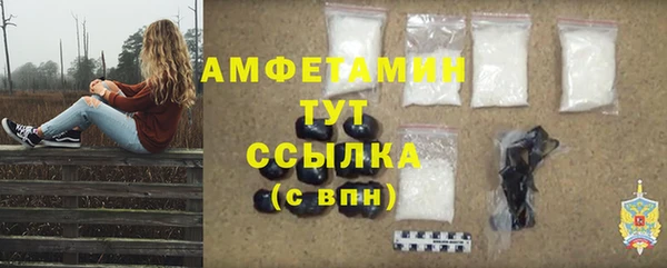 ПСИЛОЦИБИНОВЫЕ ГРИБЫ Гусев