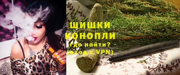 соль ск Кукмор