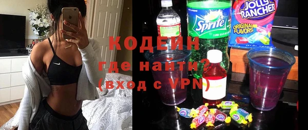 ПСИЛОЦИБИНОВЫЕ ГРИБЫ Гусев