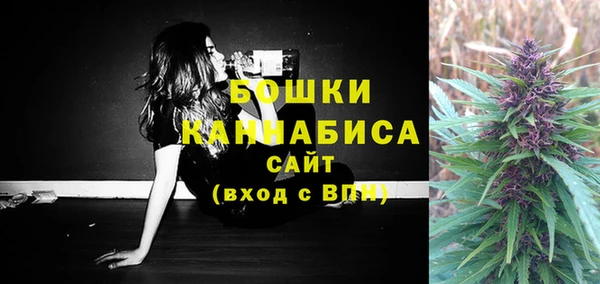 ПСИЛОЦИБИНОВЫЕ ГРИБЫ Гусев