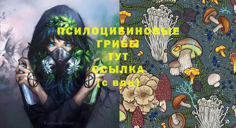 Галлюциногенные грибы MAGIC MUSHROOMS  дарнет шоп  Заволжск 